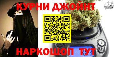 гидра Кимры