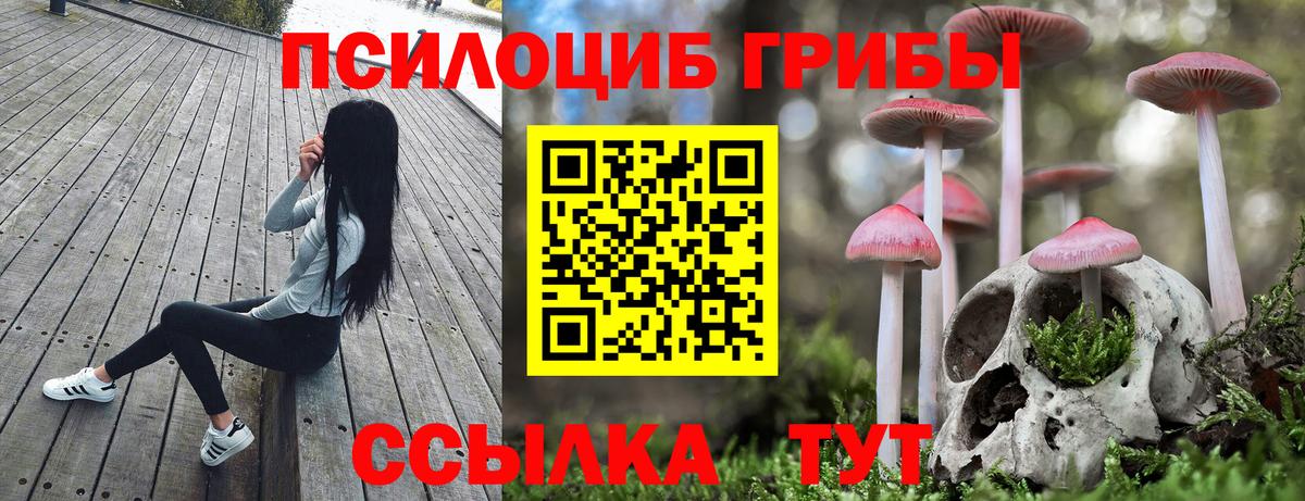 Галлюциногенные грибы мухоморы  купить  сайты  Каспийск  Вход с VPN 